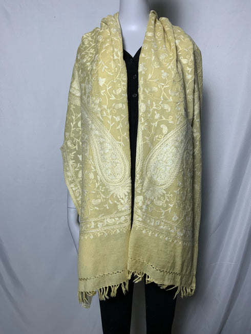 Hand Embroidered All Over Aari with Paisley