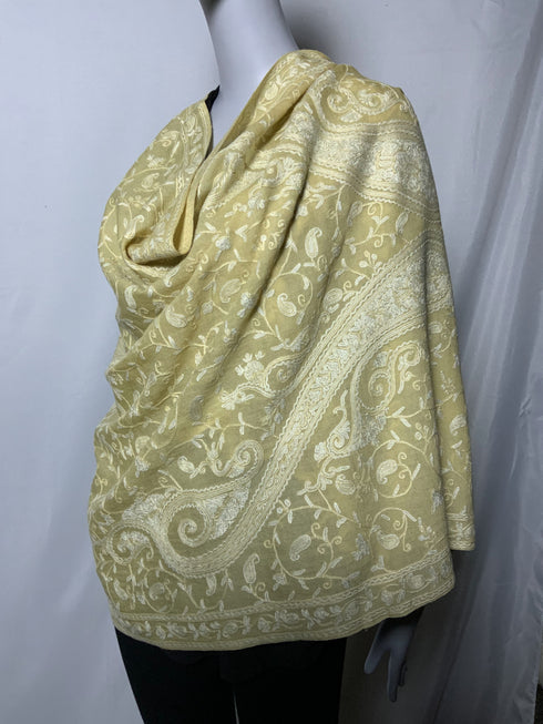 Hand Embroidered All Over Aari with Paisley