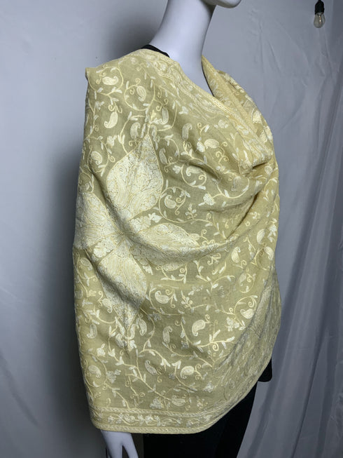 Hand Embroidered All Over Aari with Paisley